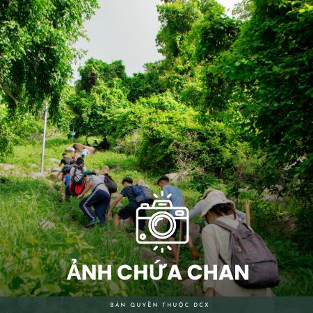 Album Chứa Chan