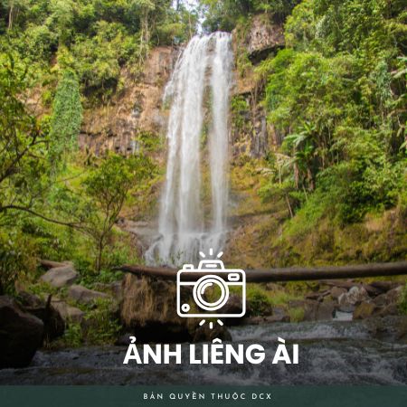 Album ảnh liêng ài