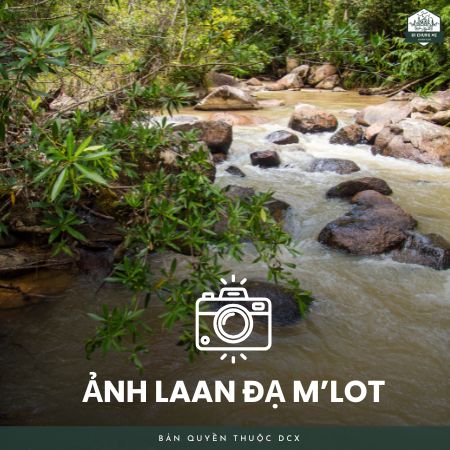 Album Đạ M'lọt