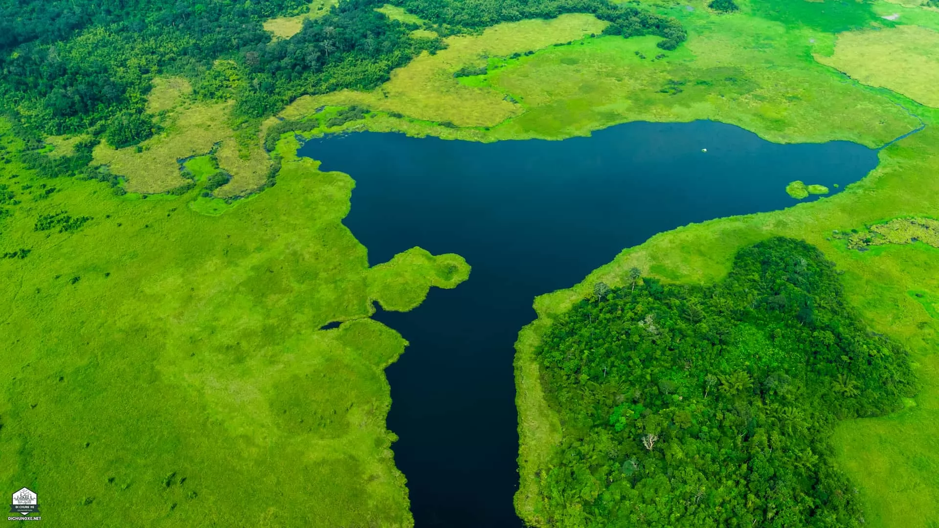 Bàu Sấu - Khu Ramsar ngập nước (VQG Cát Tiên)