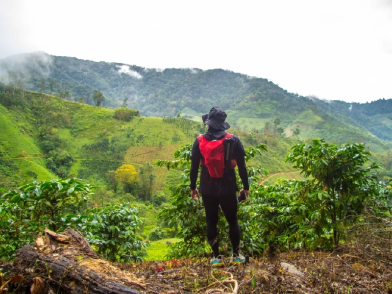 Đỉnh Lomburr - Thử Thách Đầy Hấp Dẫn Cho Những Tâm Hồn Yêu Chinh Phục